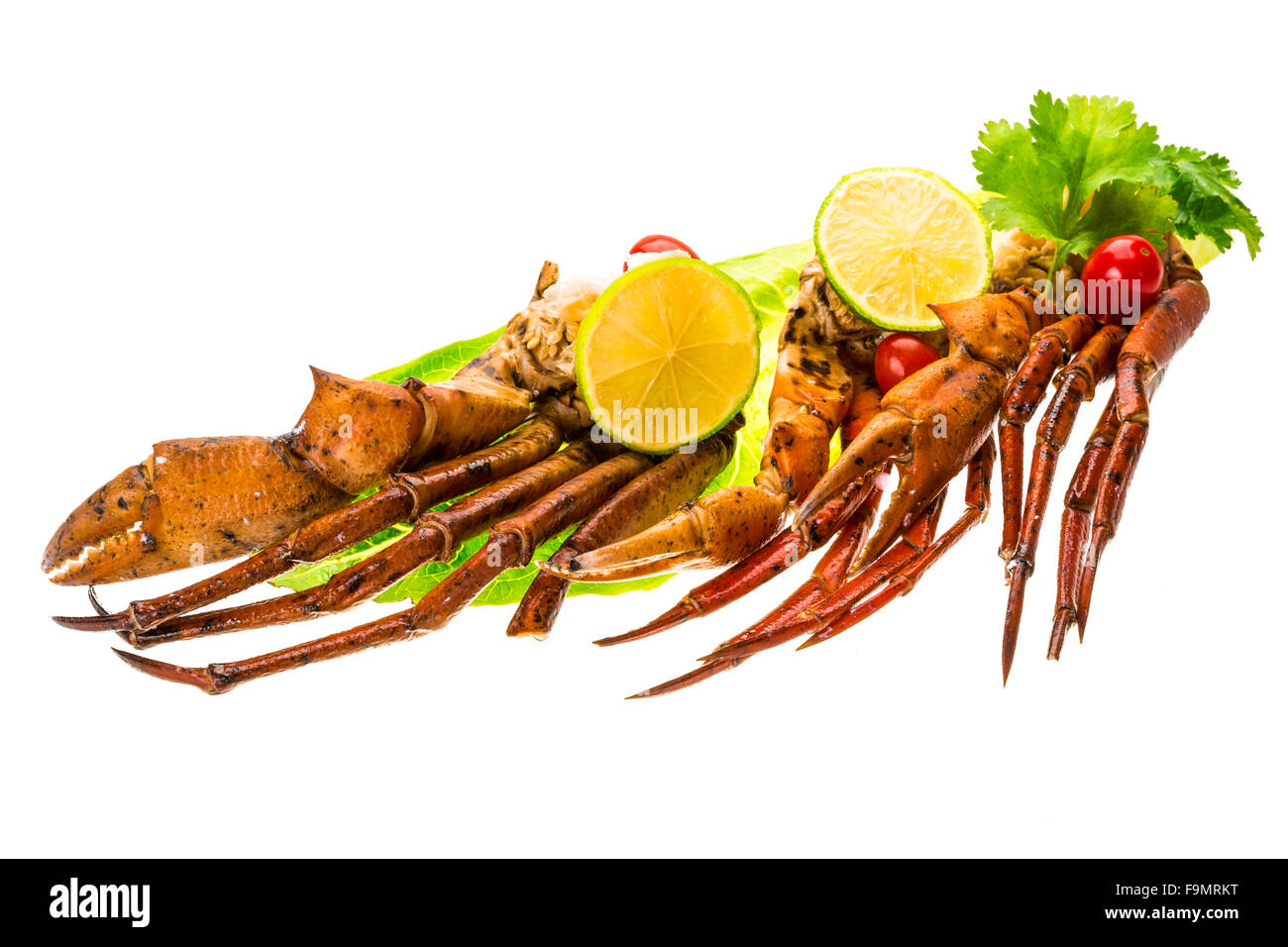 Crab legs studio macro shoot Stock Photo Alamy