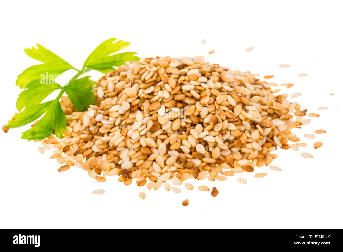 Sesam seeds isolated Stock Photo Alamy