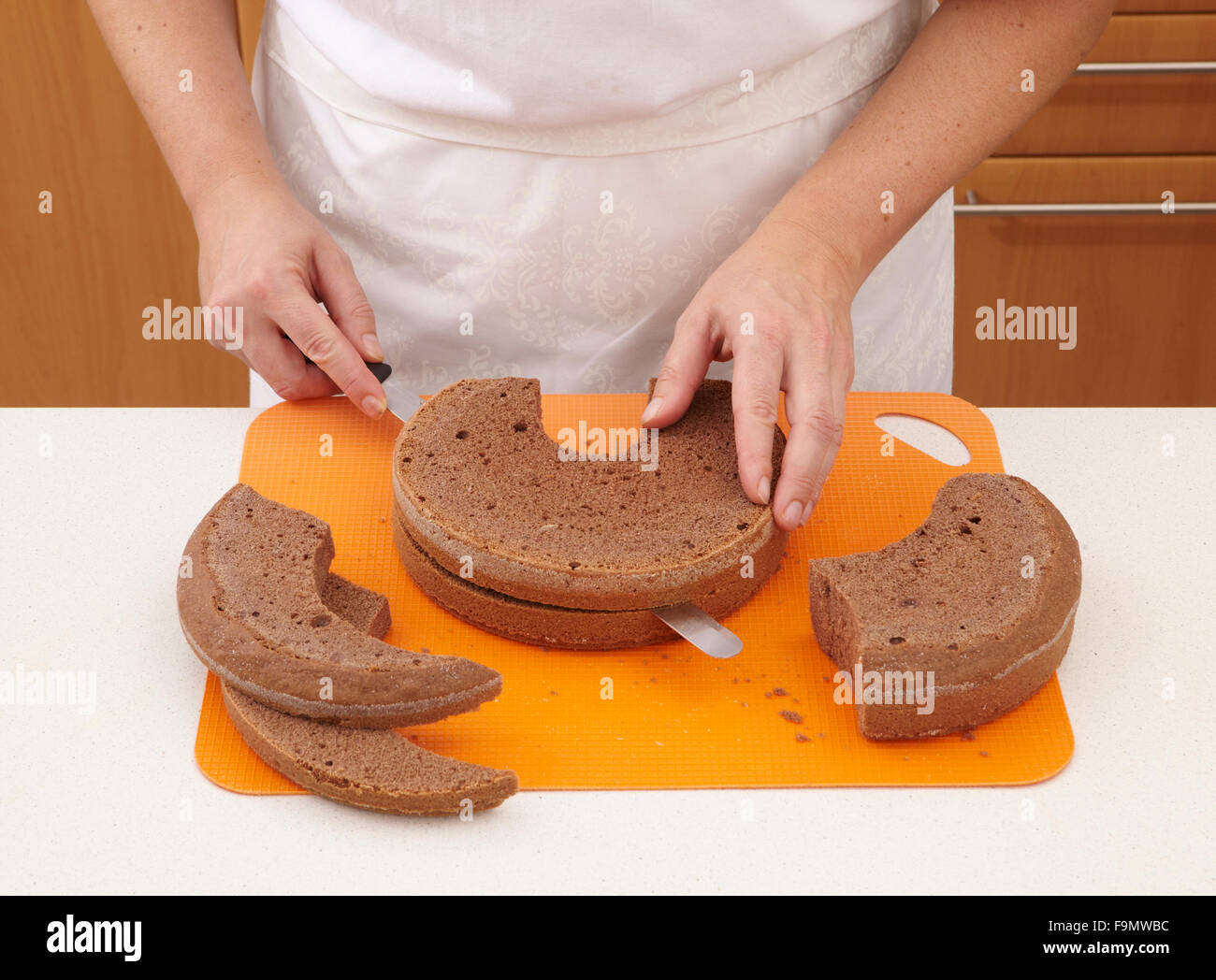 Dinosaur Cake Steps High Resolution Stock Photography And Images Alamy Dinosaur Cake Steps High Resolution Stock Photography And Images Alamy