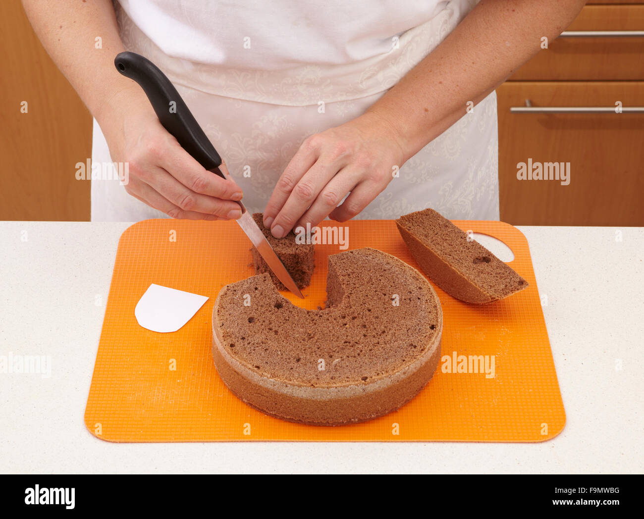 Dinosaur Cake Steps High Resolution Stock Photography And Images Alamy Dinosaur Cake Steps High Resolution Stock Photography And Images Alamy