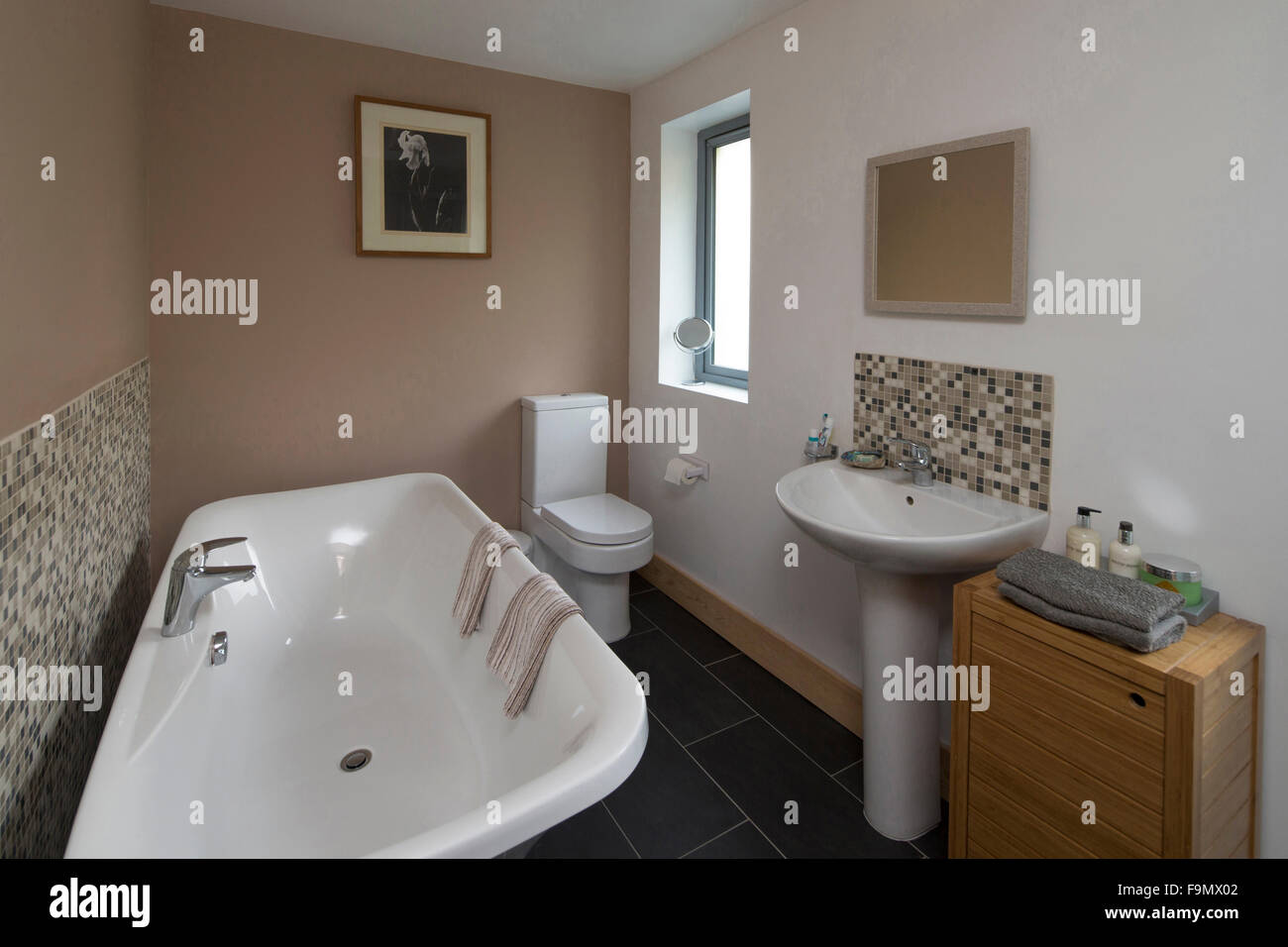 Family bathroom in a moder house, with a traditional bath, handbasin and toilet. Stock Photo