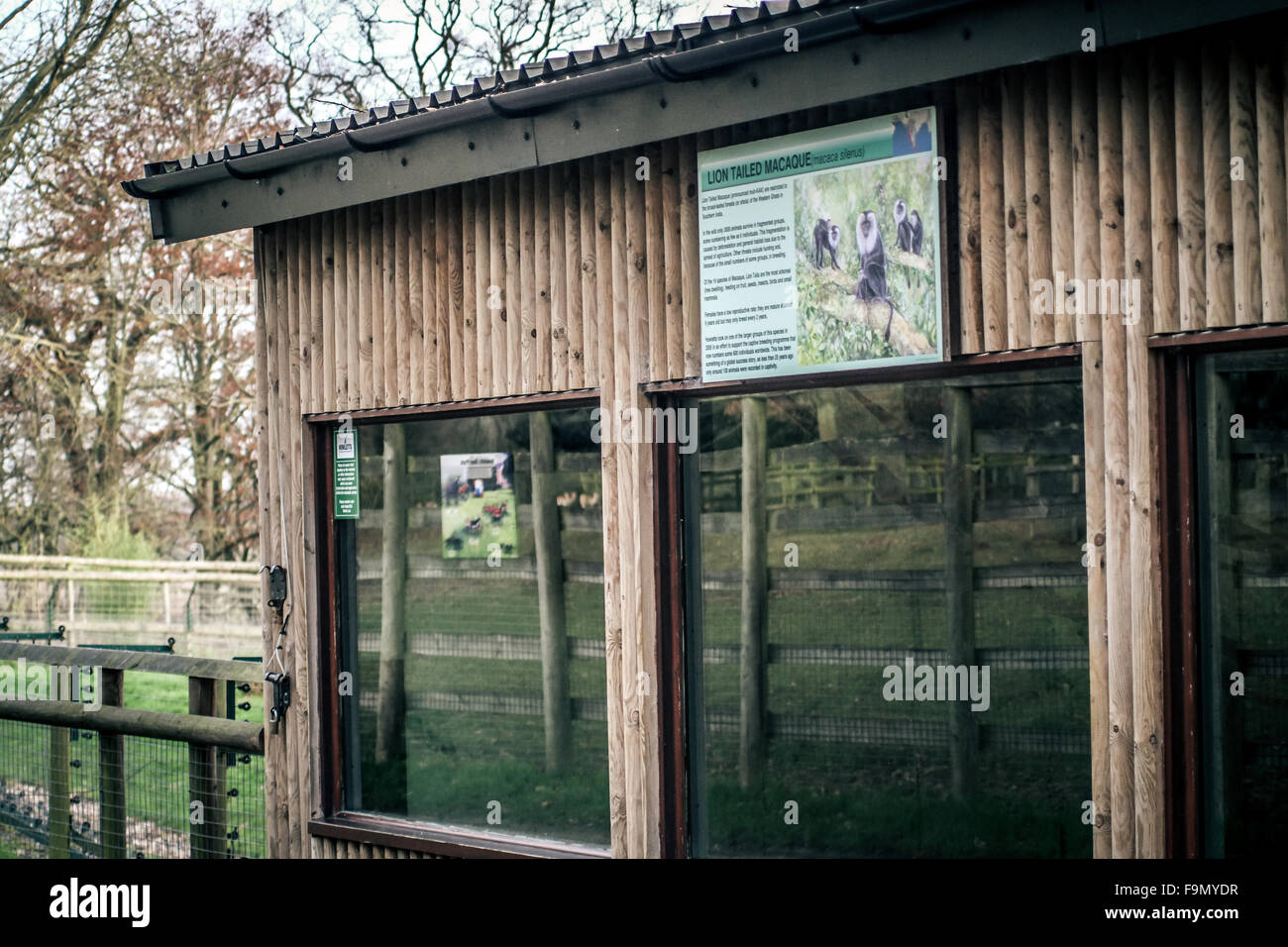 Howletts Zoo near Canterbury, Kent, UK. 17th December, 2015. A Long