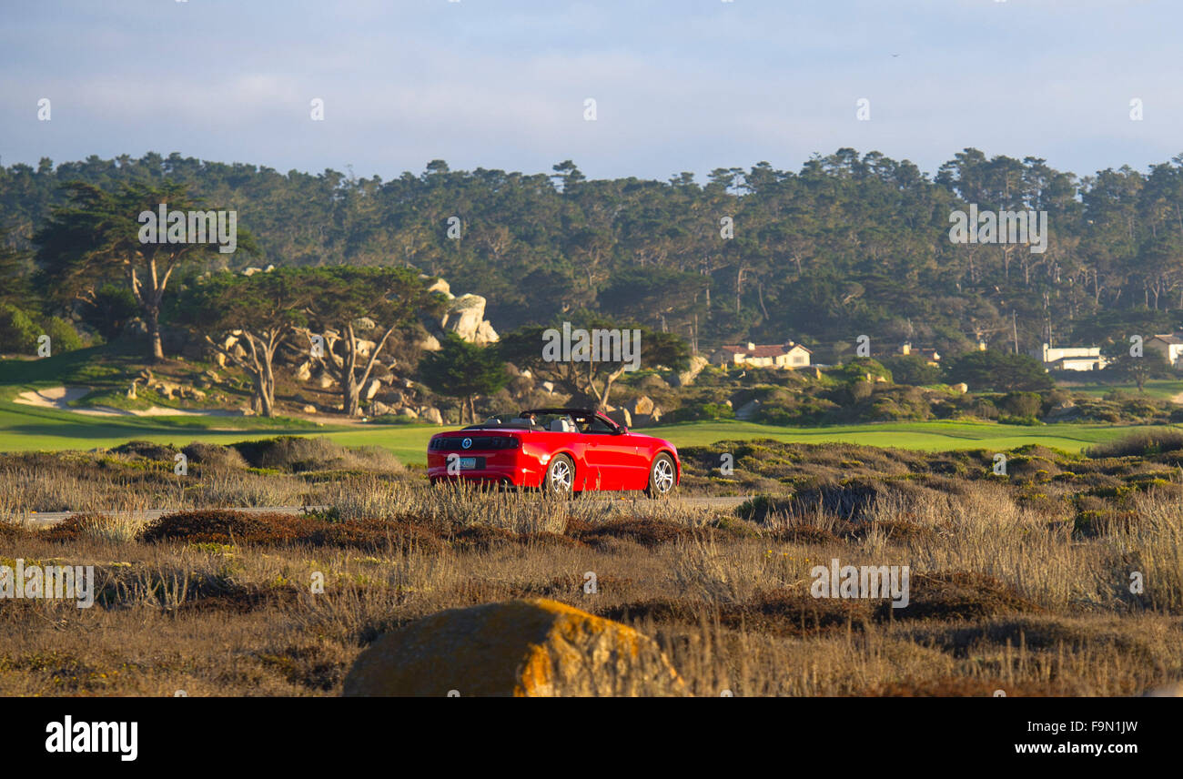 California, USA. 17th Dec, 2015. Photo taken in September 2013 shows a red sports car running on 17-Mile Drive in California, the United States. 17-Mile Drive is widely recognized as one of the most scenic drives in the world. The famous coastal landmark runs through Pacific Grove to Pebble Beach, from the dramatic Pacific coastline to the majestic Del Monte Forest. © Yang Lei/Xinhua/Alamy Live News Stock Photo