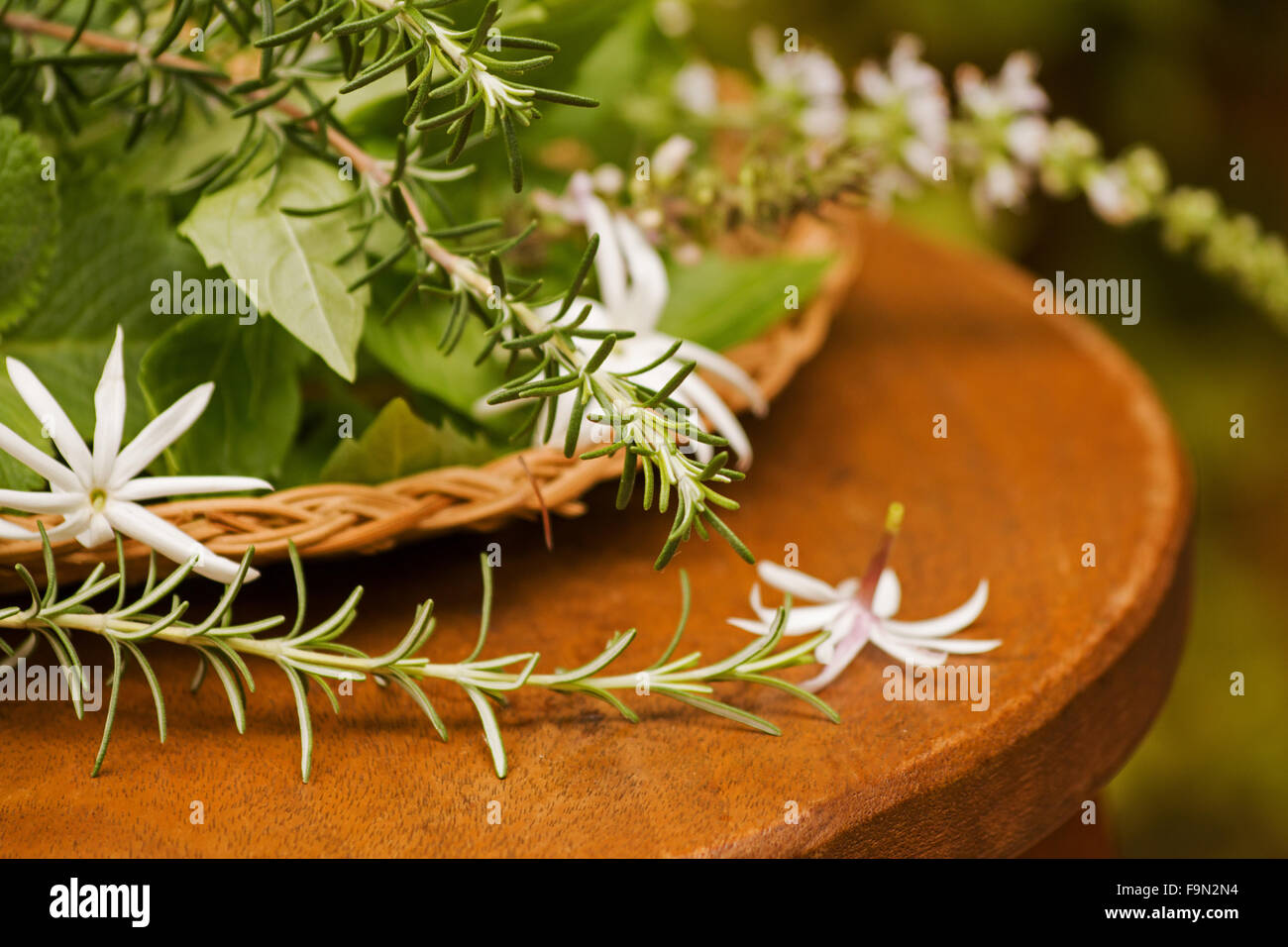 Fragrant plants Stock Photo