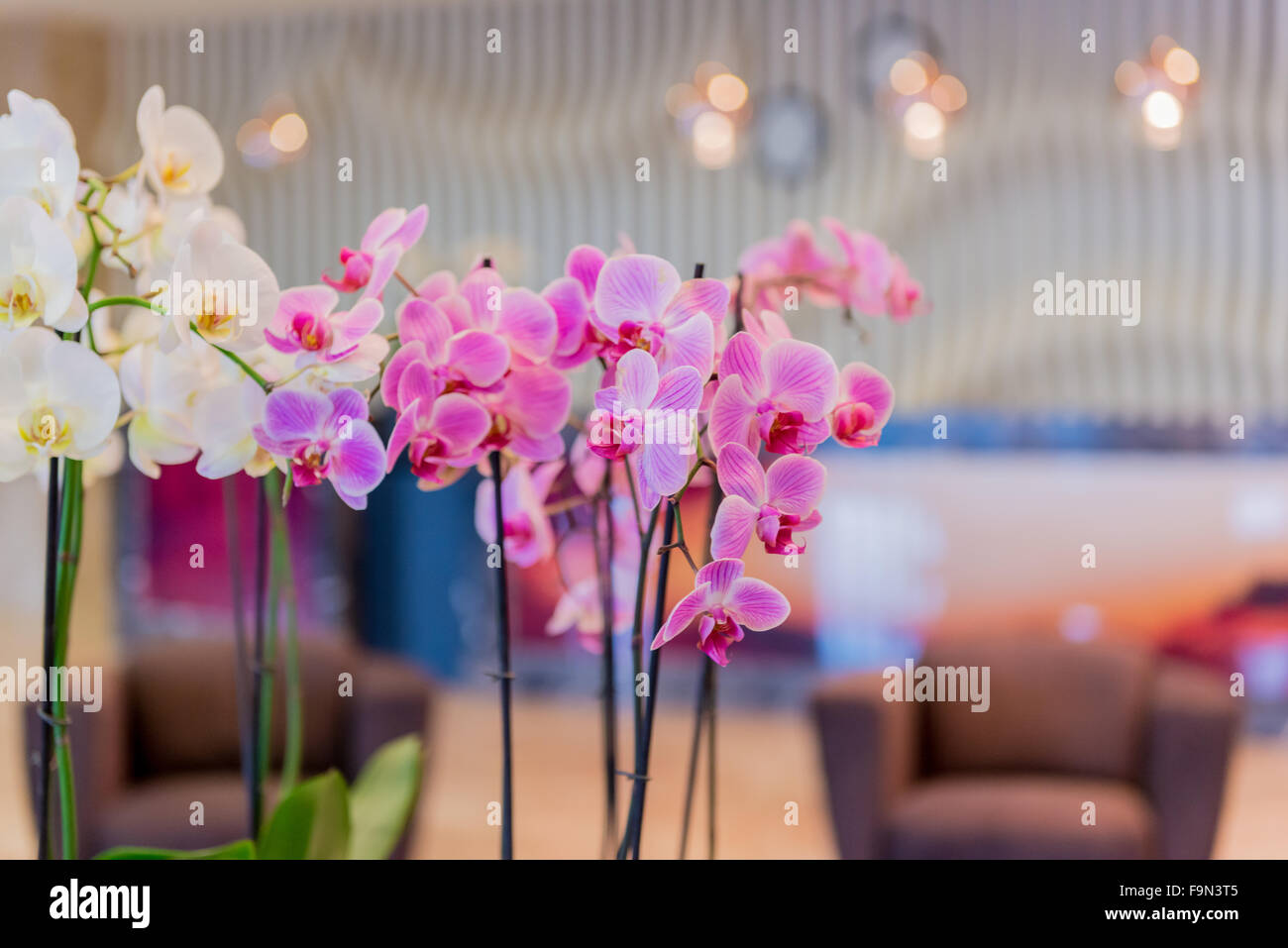 Hotel lobby with modern design Stock Photo - Alamy