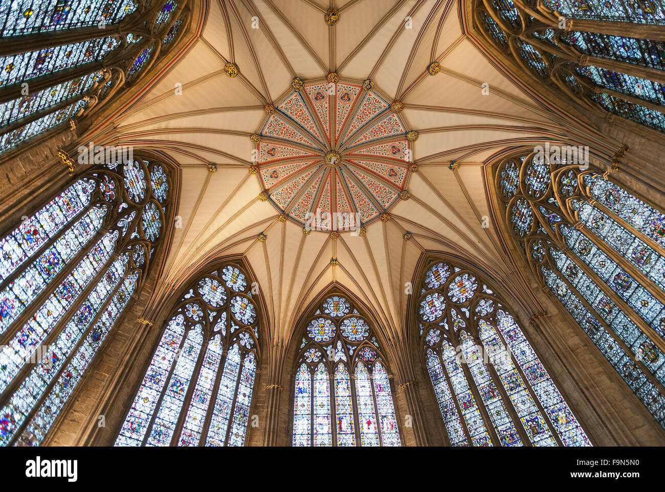 Chapter House vaulted ceiling, York MInster Stock Photo - Alamy