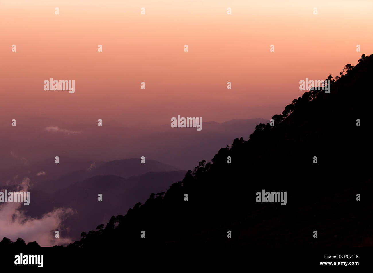 Silhouette of mountain slope Tajamulco with trees in front orange purple sunset Stock Photo