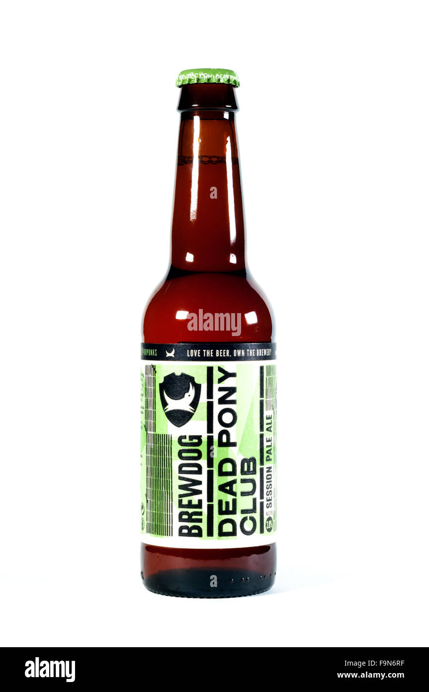 A bottle of Dead Pony Club pale ale, from the Brewdog brewery. Stock Photo