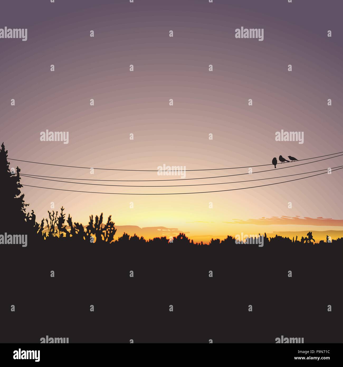 Pines and sunrise Stock Vector Images - Alamy