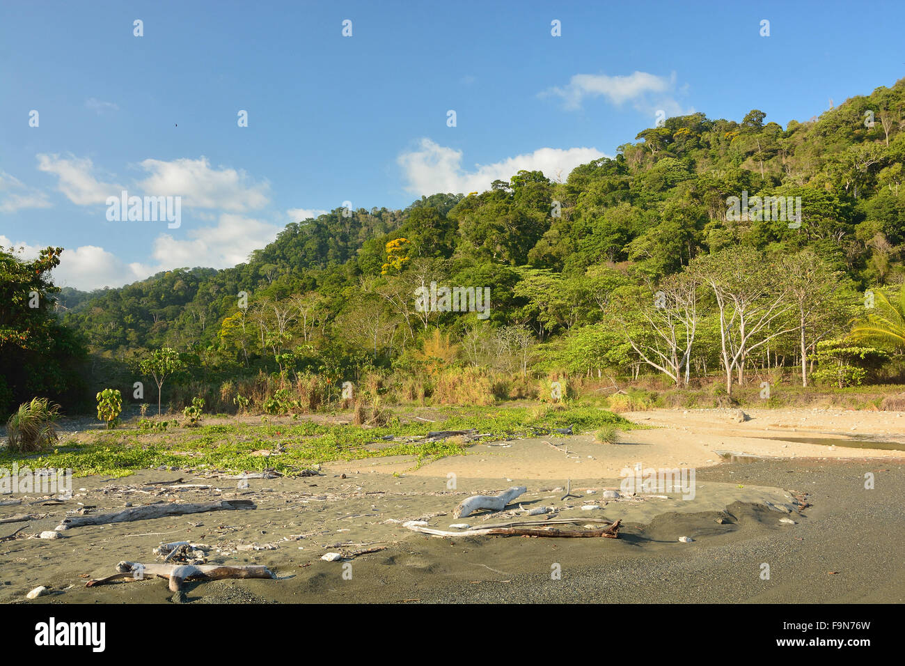 Beach in Corcovado National Park Costa Rica Stock Photo