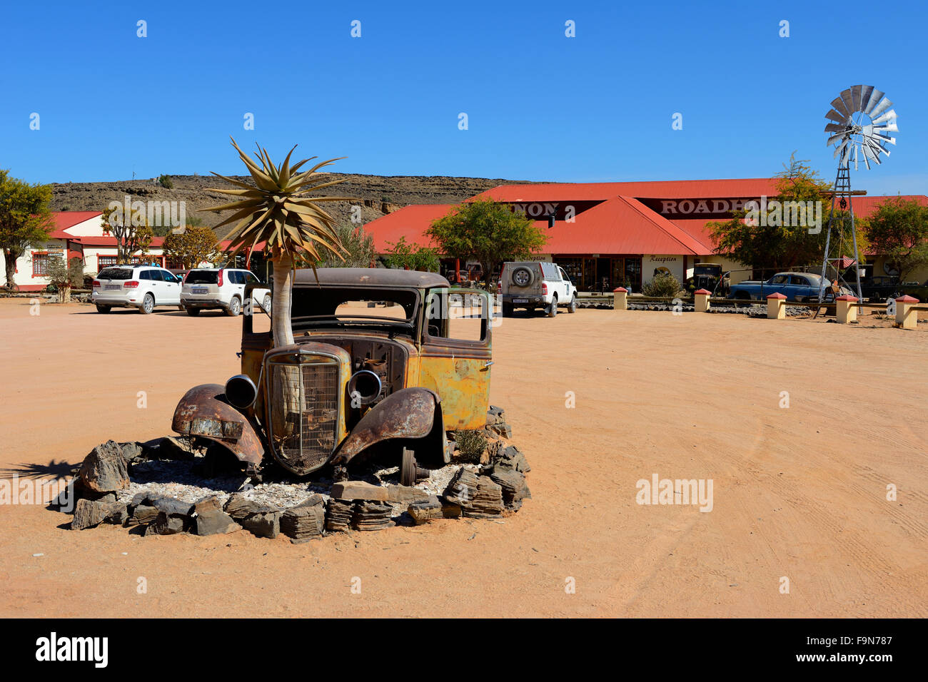 Quiver tree at Canyon Roadhouse near Fish River Canyon, Namibia Stock Photo