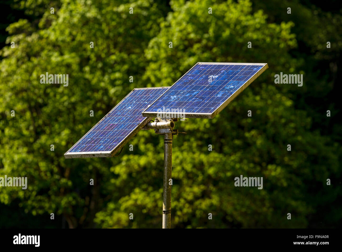 Solar panels in front of green bushes, energy from the sun Stock Photo