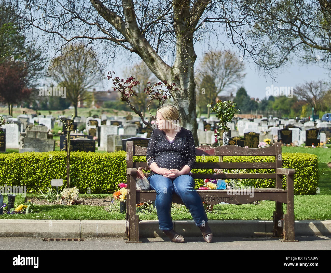 A grieving pregnant woman sitting on a bench in a graveyard or cemetery Stock Photo