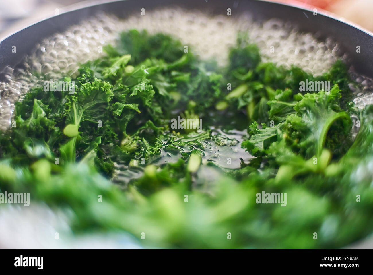 Closeup macro of greens Curly kale cooking in a saucepan of boiling water Stock Photo Alamy