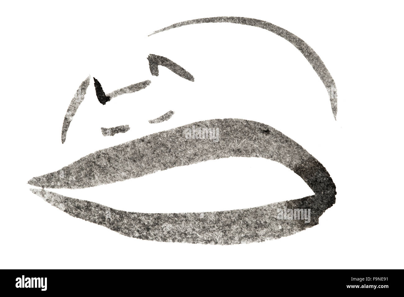 sleeping cat black and white ink sketch Stock Photo - Alamy