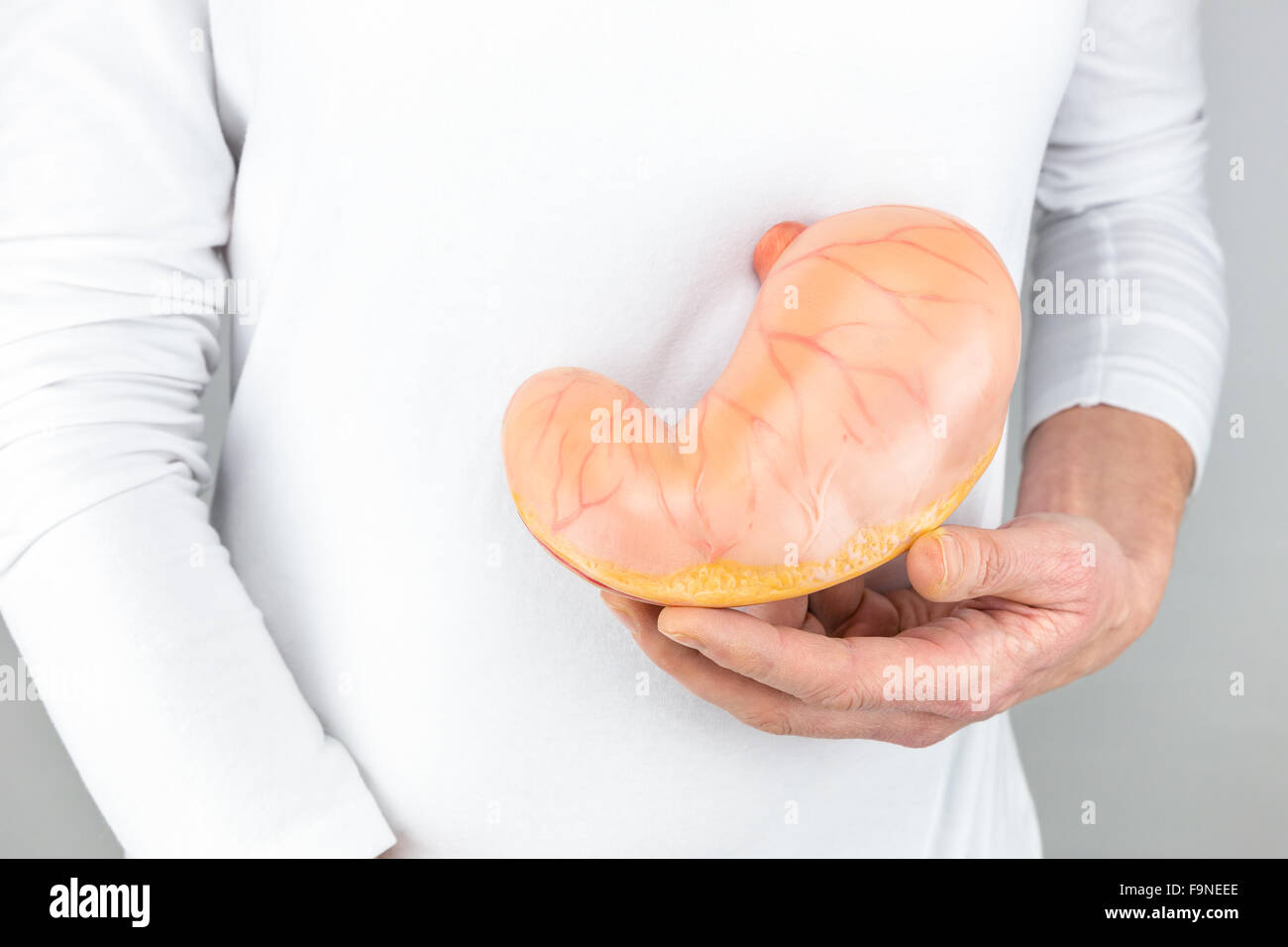 Female hand holding artificial model of human stomach isolated on white shirt Stock Photo