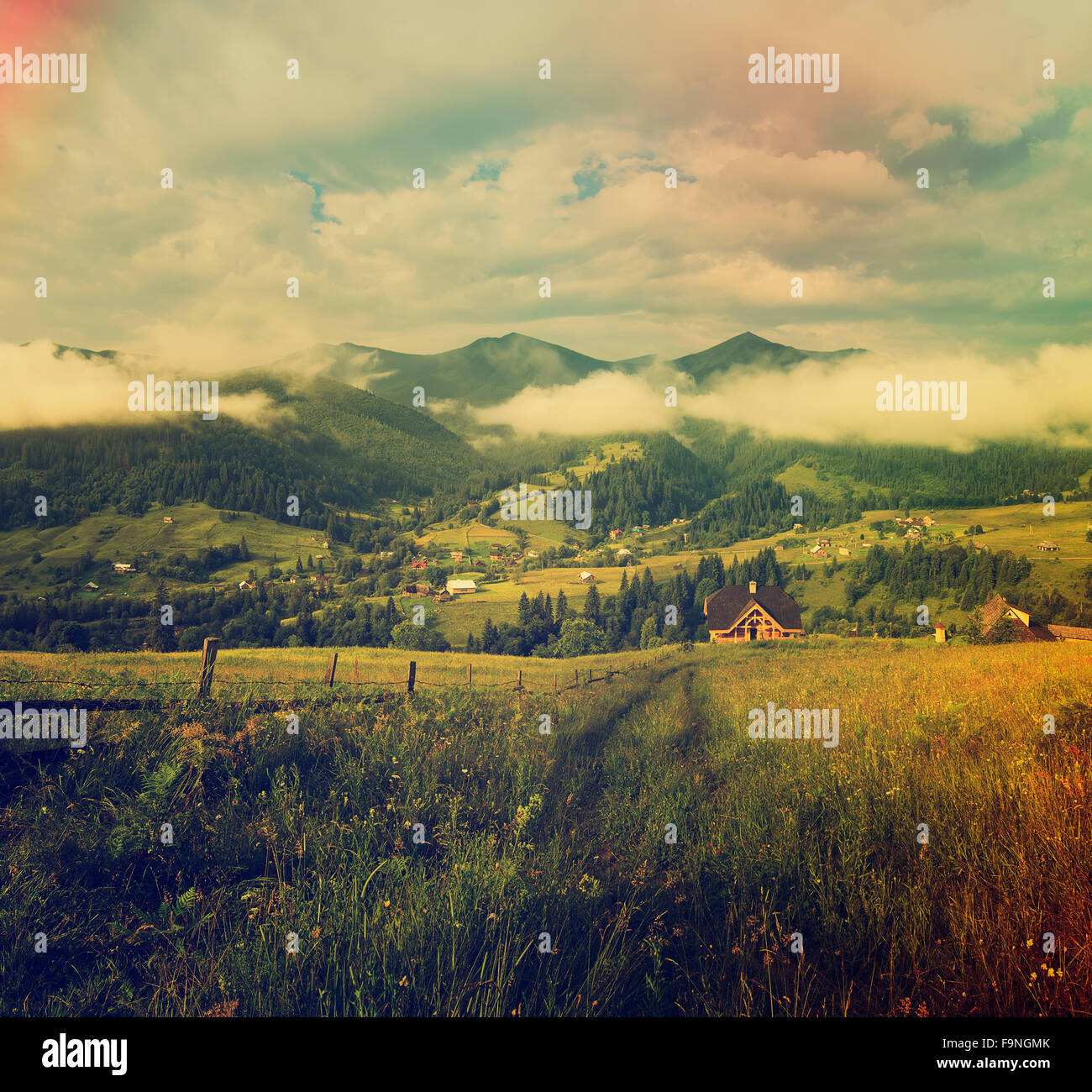 Mountain summer landscape Stock Photo - Alamy