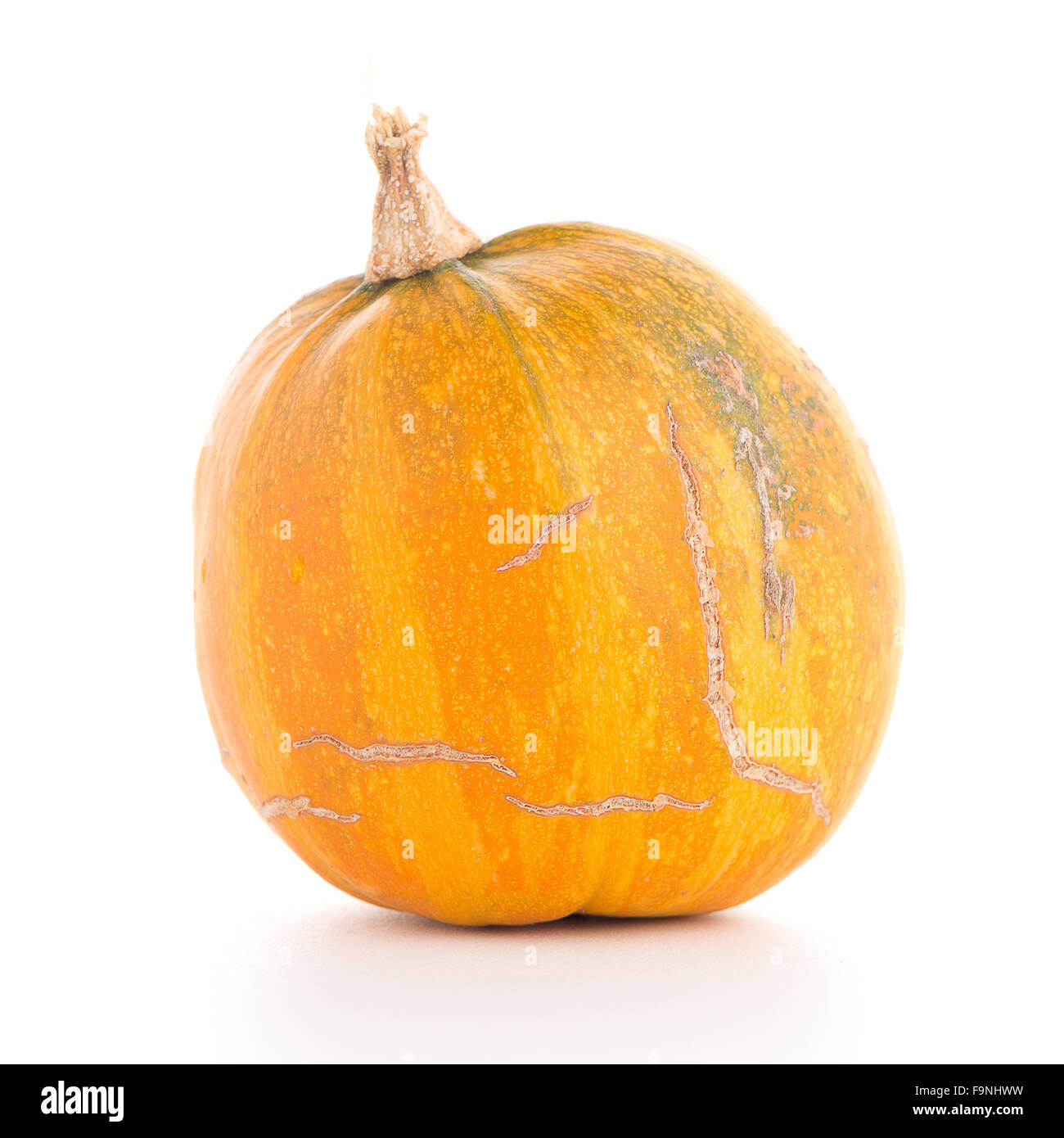 Pumpkin isolated on white background Stock Photo - Alamy