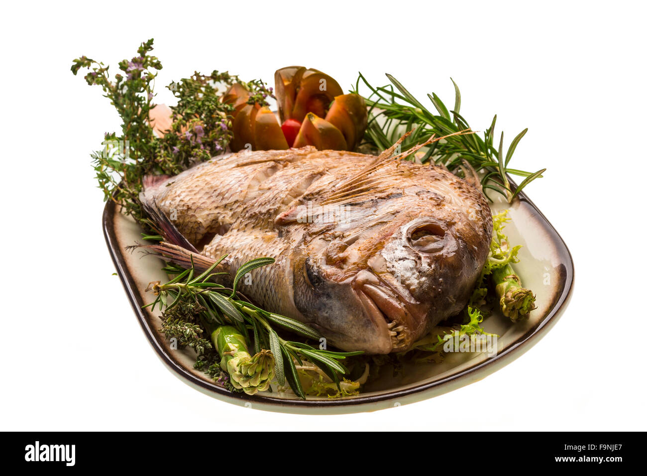 Grilled sea perch Stock Photo