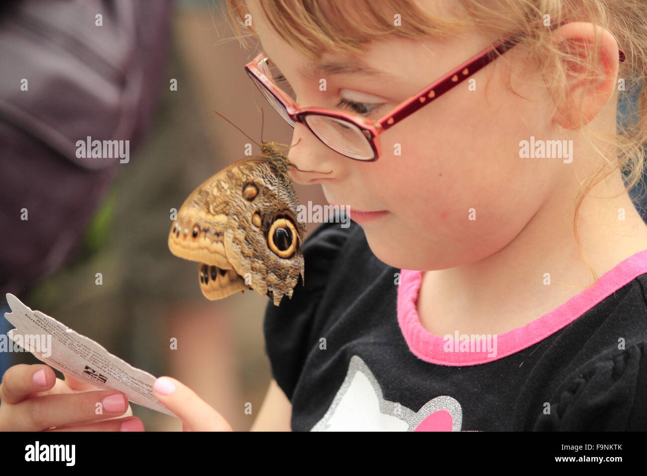 Butterfly sitting on the nose of a female child Stock Photo Alamy