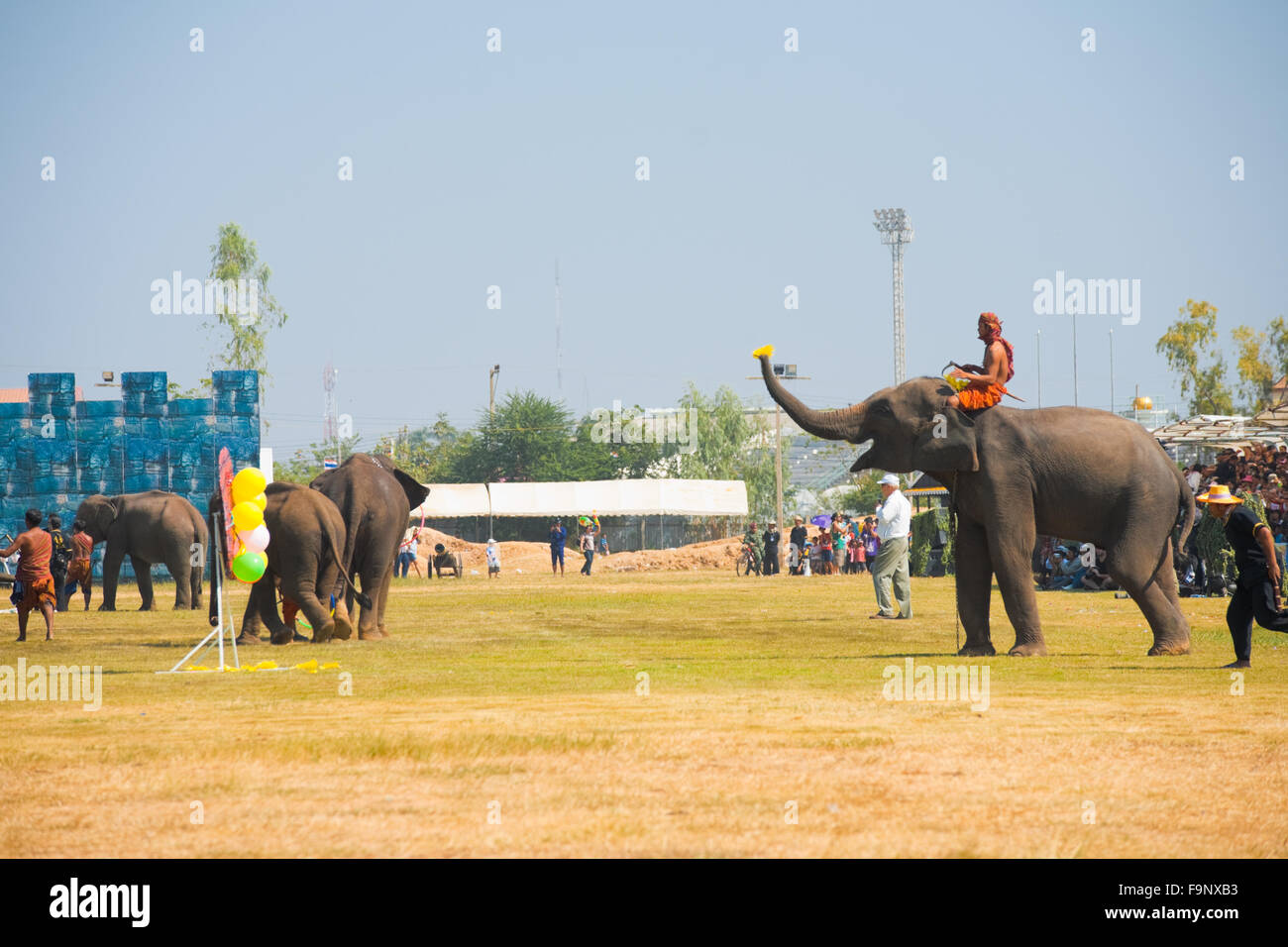 Elephant using its trunk throwing darts at target, popping balloons