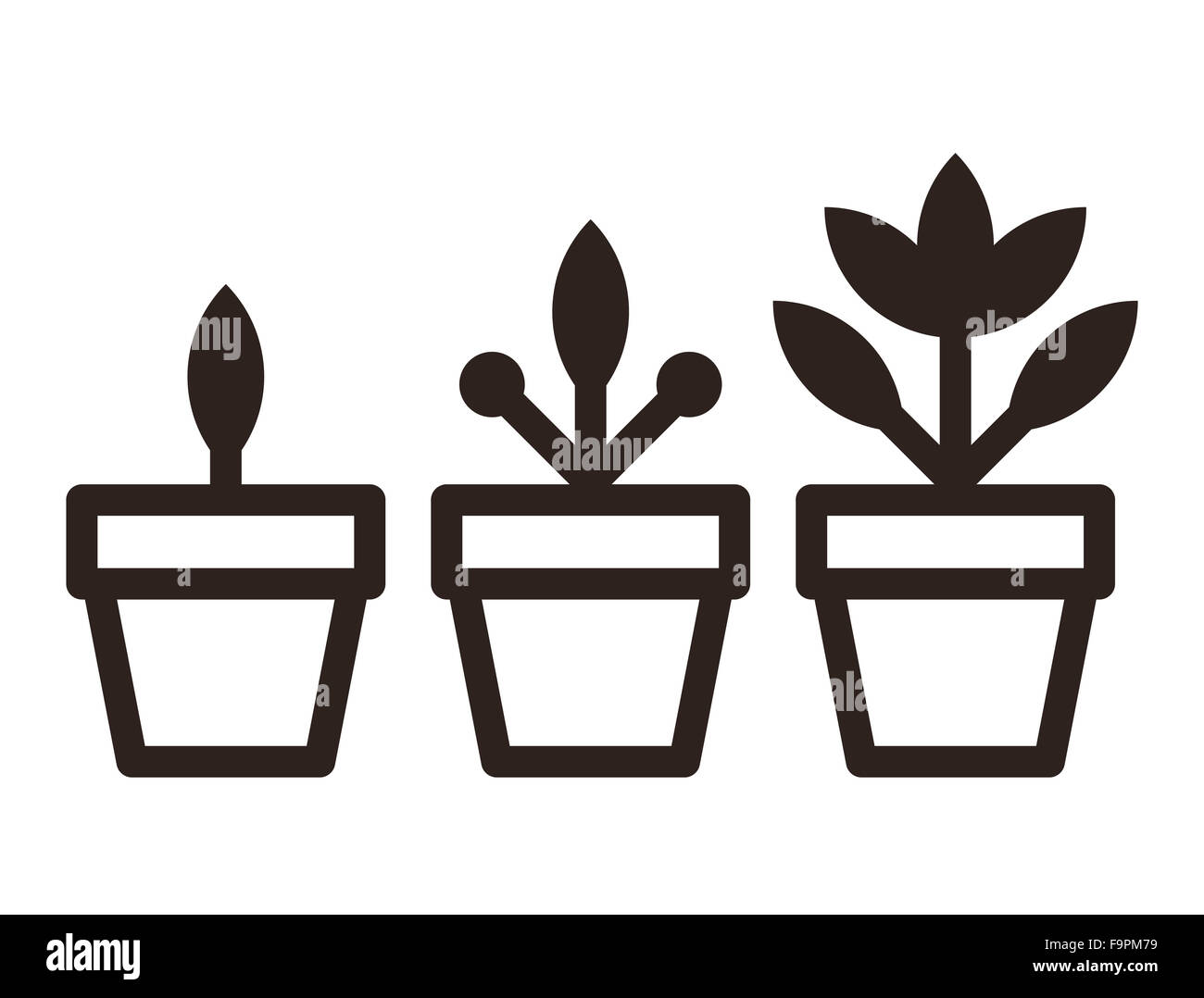 Set of flowers in pots isolated on white background Stock Photo - Alamy