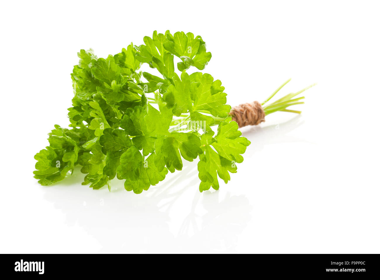 Curly parsley bunch Stock Photo Alamy