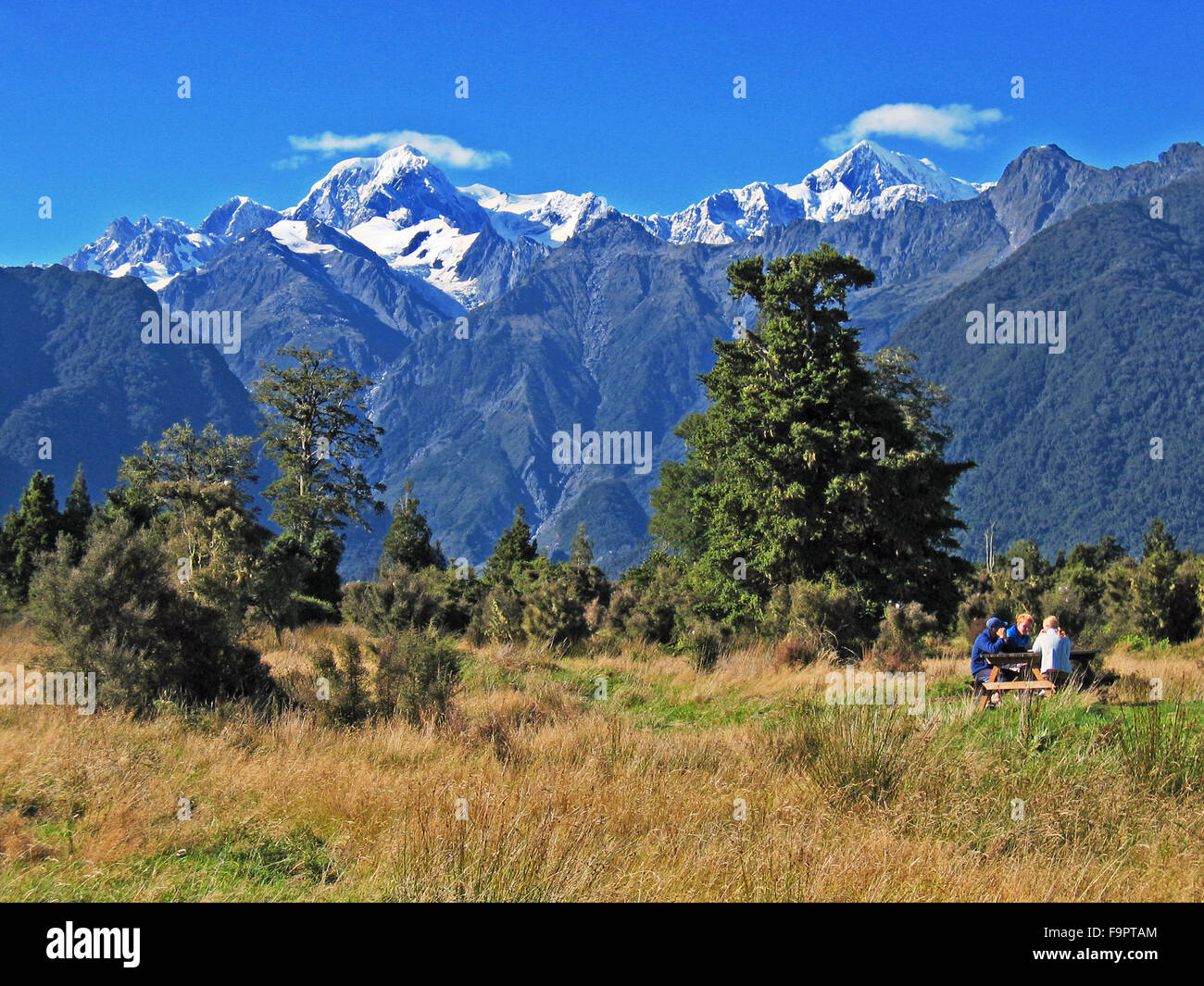 Having a picnic in a meadow below mountains in New Zealand Stock Photo ...