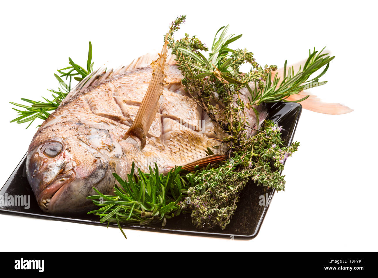 Grilled sea perch Stock Photo