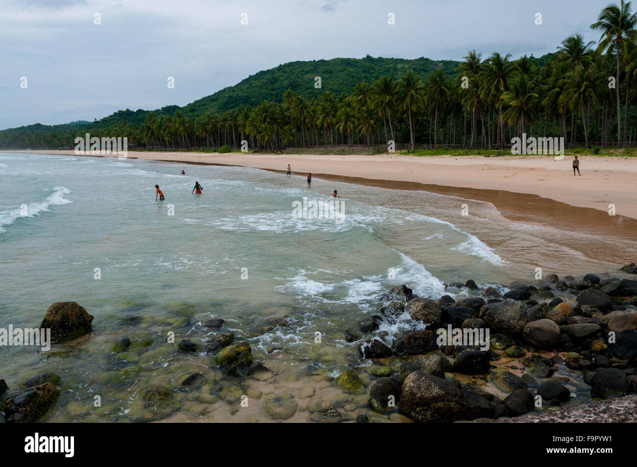 Children Playing and Swimming at the beach full of palm trees Stock Photo
