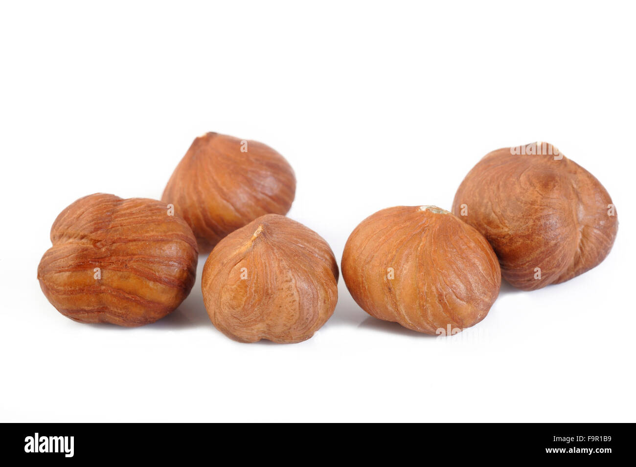 peeled hazelnuts isolated on white background Stock Photo Alamy
