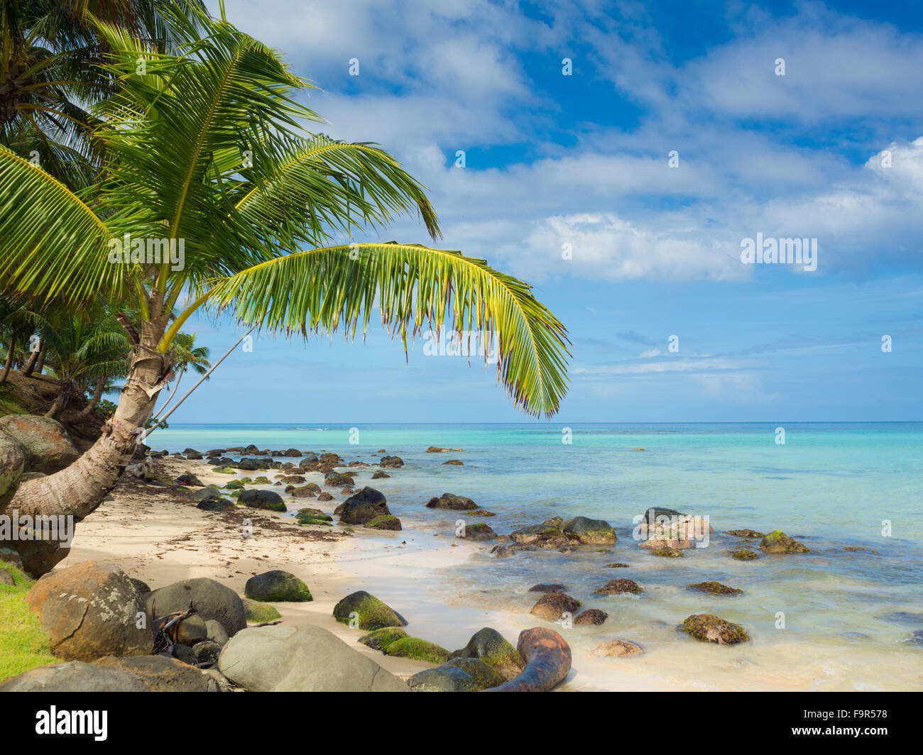 Hot weather tropical beach hi-res stock photography and images - Alamy