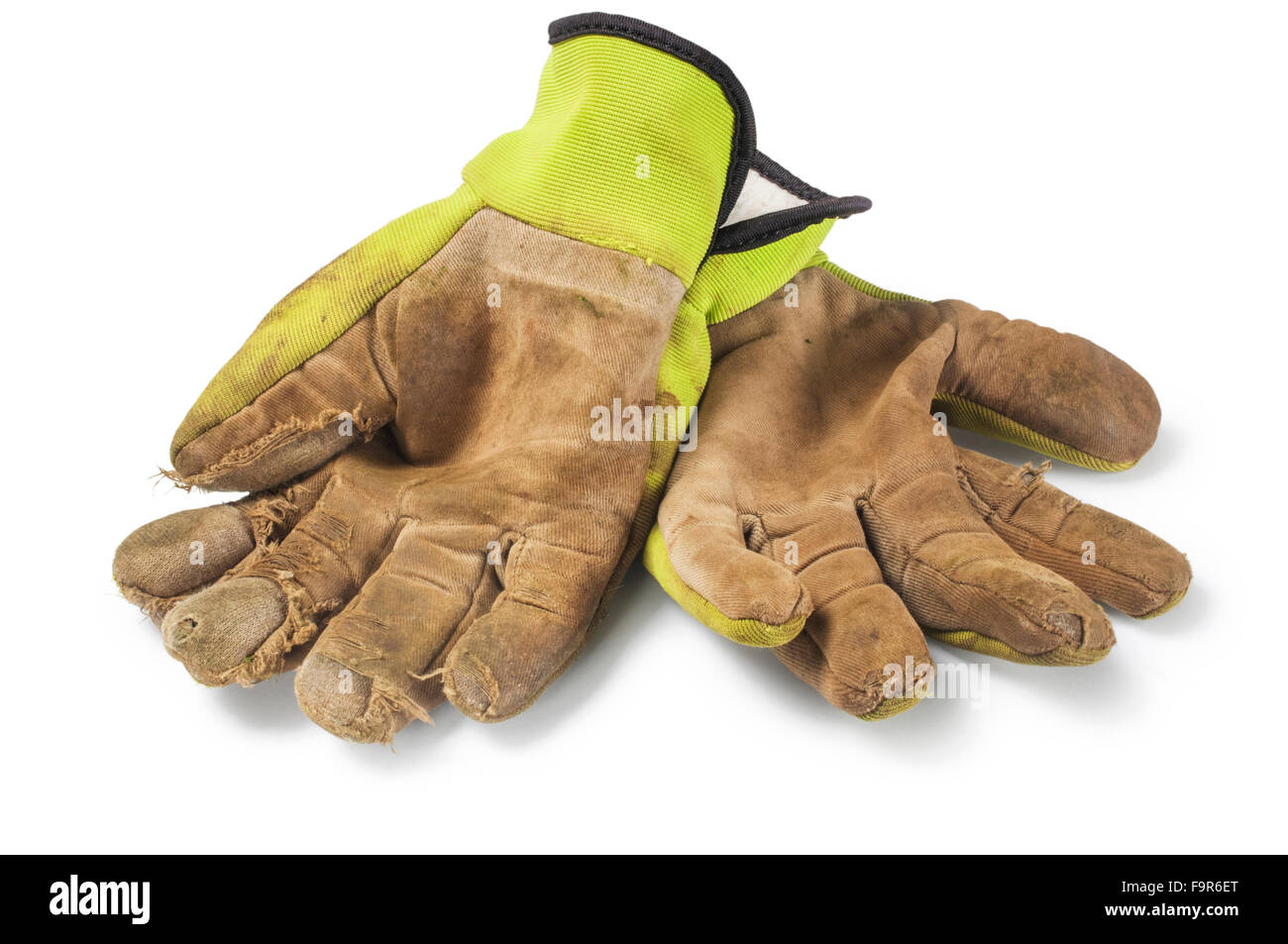 Garden Glove Stock Photo