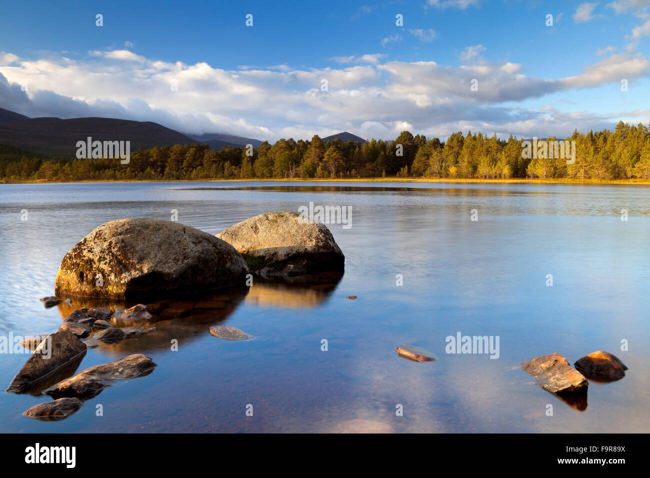Tranquil lake hi-res stock photography and images - Alamy