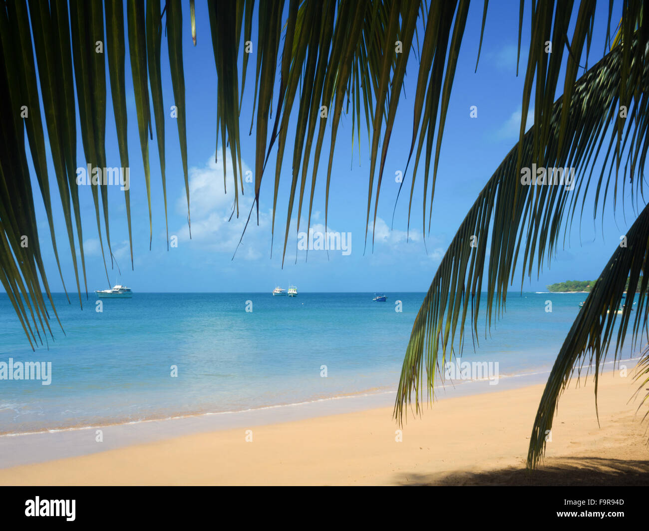 Hot weather tropical beach hi-res stock photography and images - Alamy