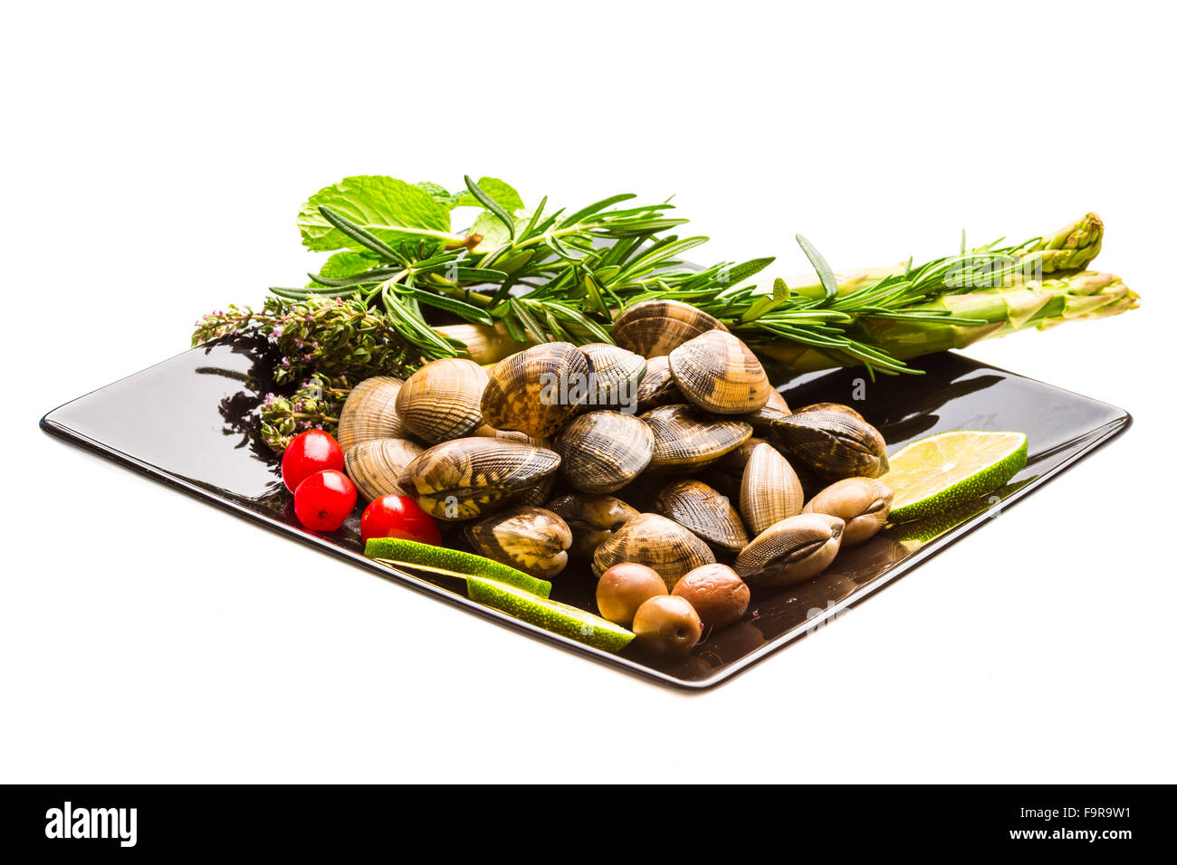 Spanish mollusc - Almeja Stock Photo