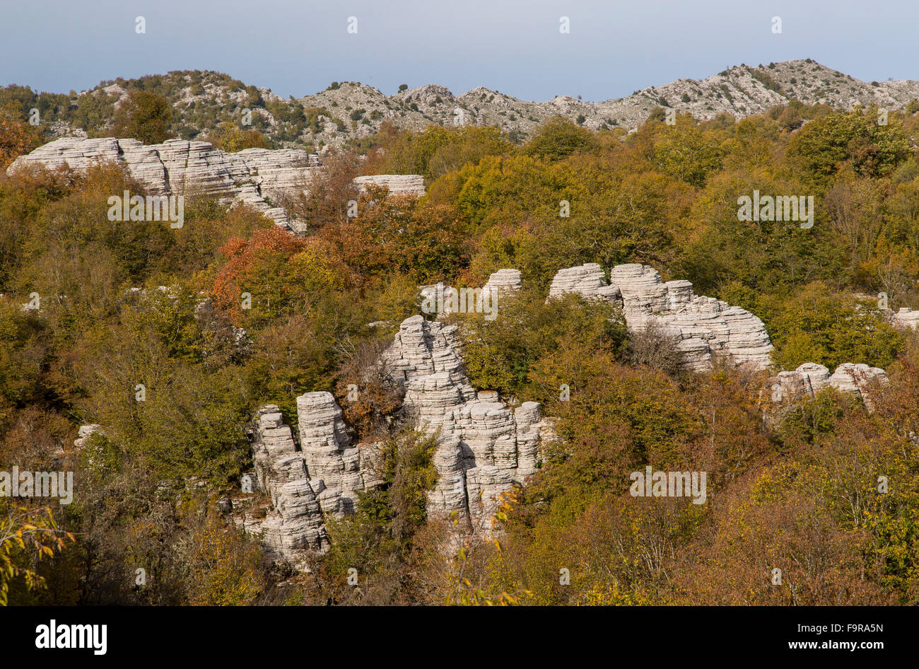 Oxia hi-res stock photography and images - Alamy