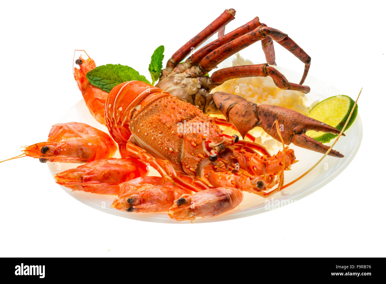 Spiny lobster, shrimps, crab legs  and rice Stock Photo