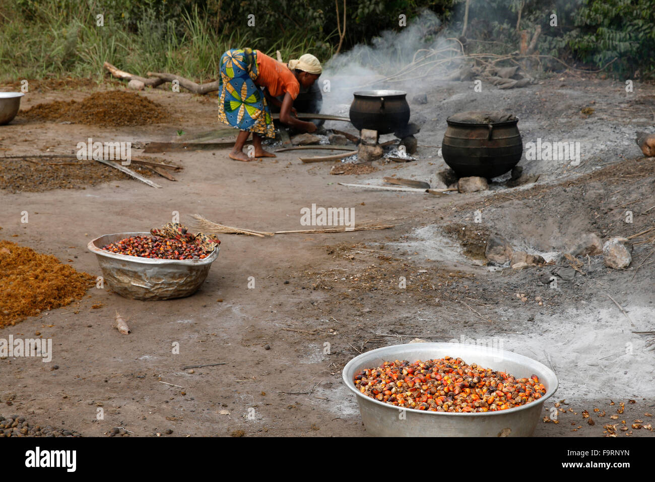 Workers' cooperative making palm oil Stock Photo Alamy
