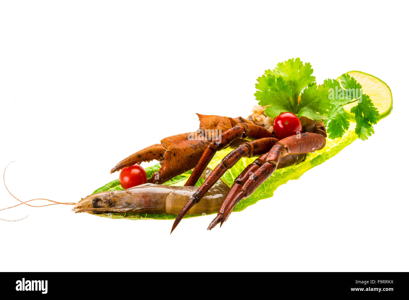 Crab legs studio macro shoot Stock Photo Alamy