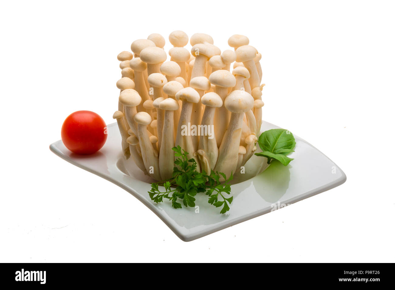 Japan mushroom Shimeji Stock Photo Alamy