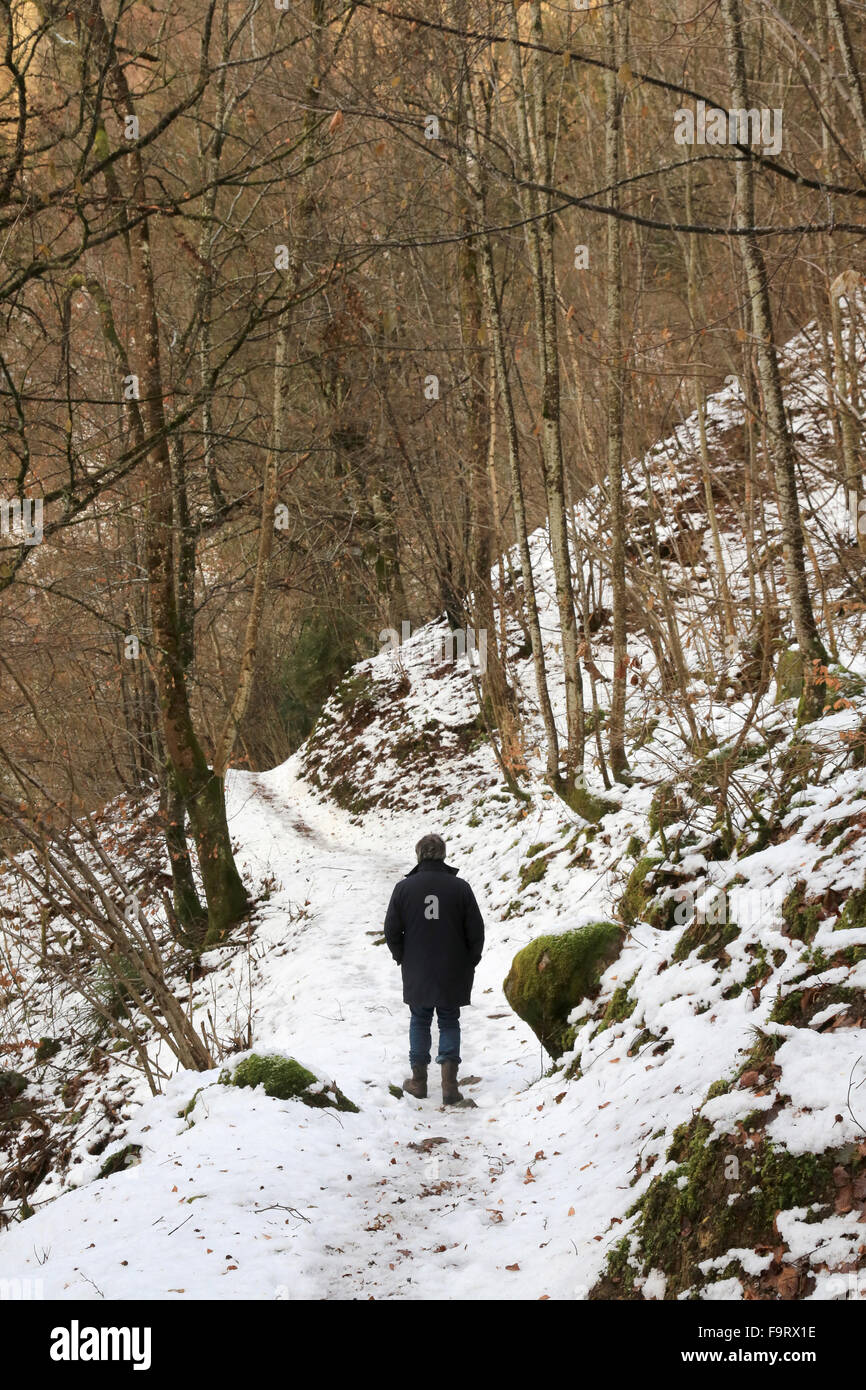 Man hiking in forest mountain hi-res stock photography and images - Alamy