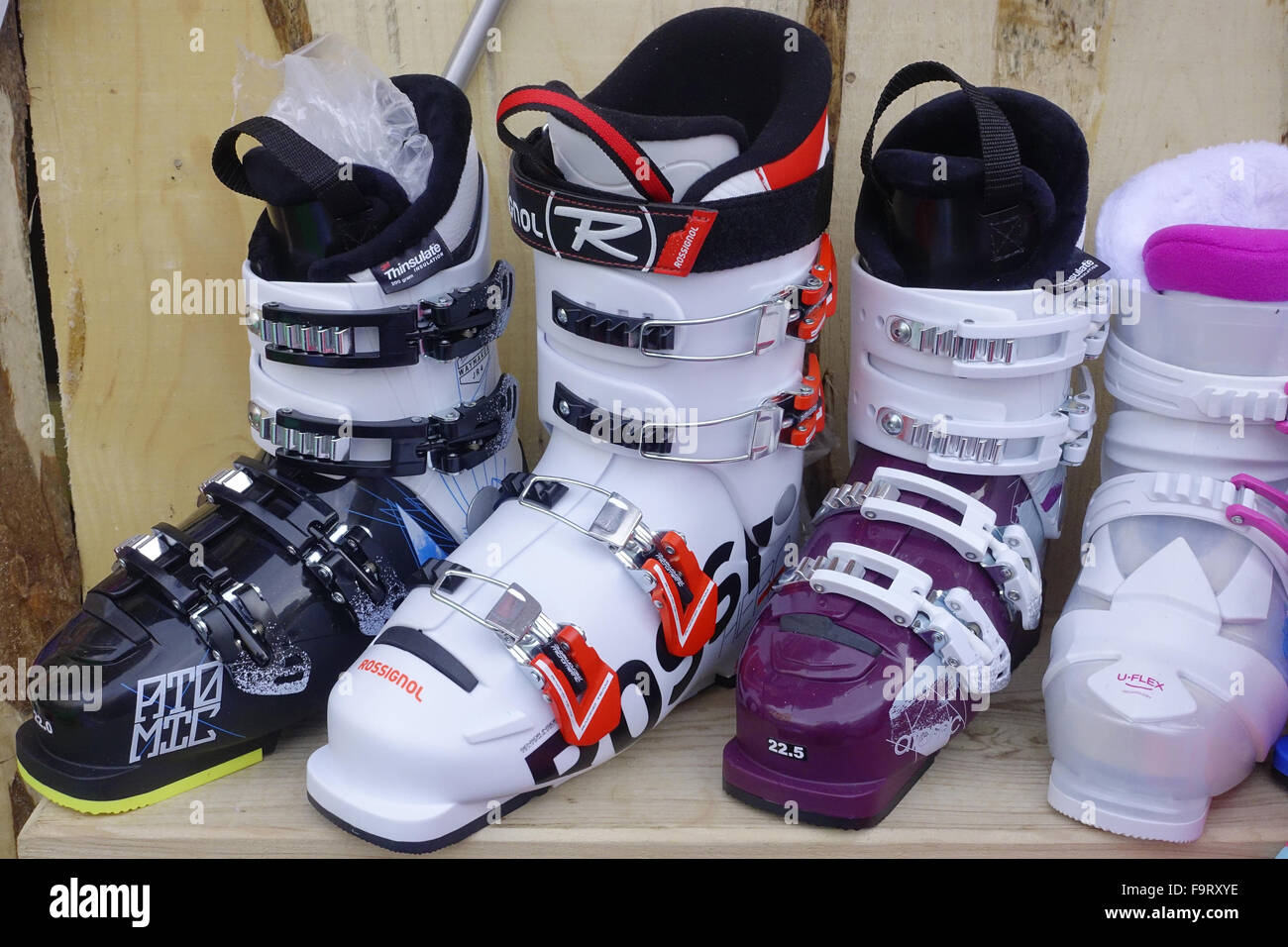 Alpine ski boots Stock Photo Alamy