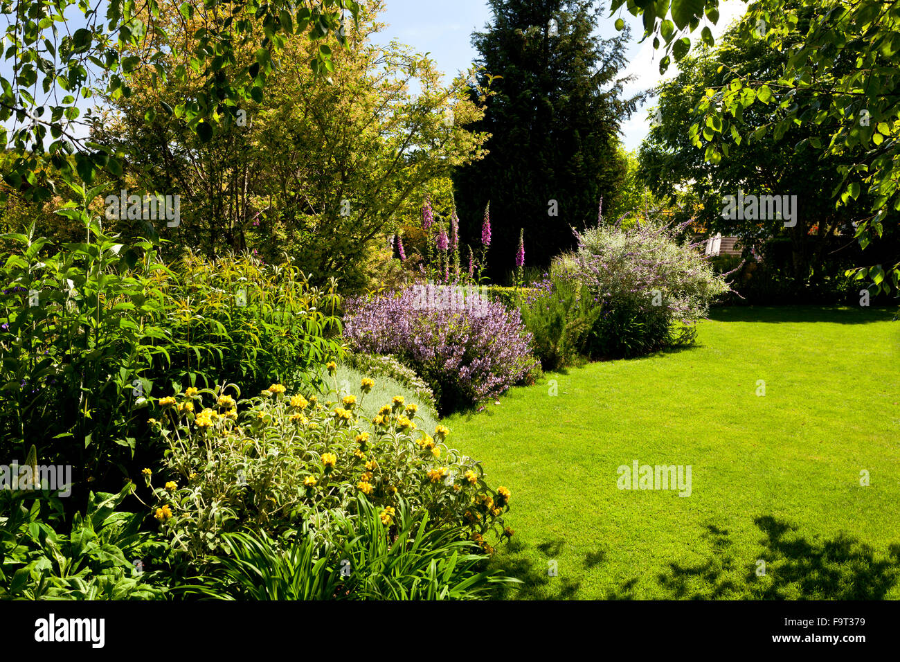 A colourful mixed herbaceous border featuring spires of foxglove ...