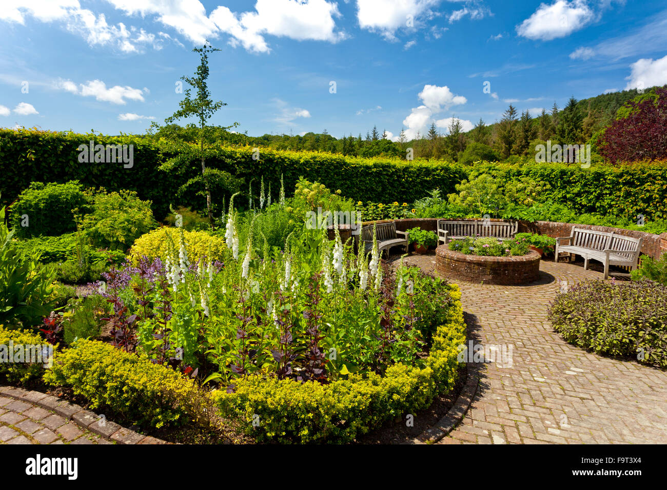 The colourful Potager Garden (a combined flower and vegetable garden