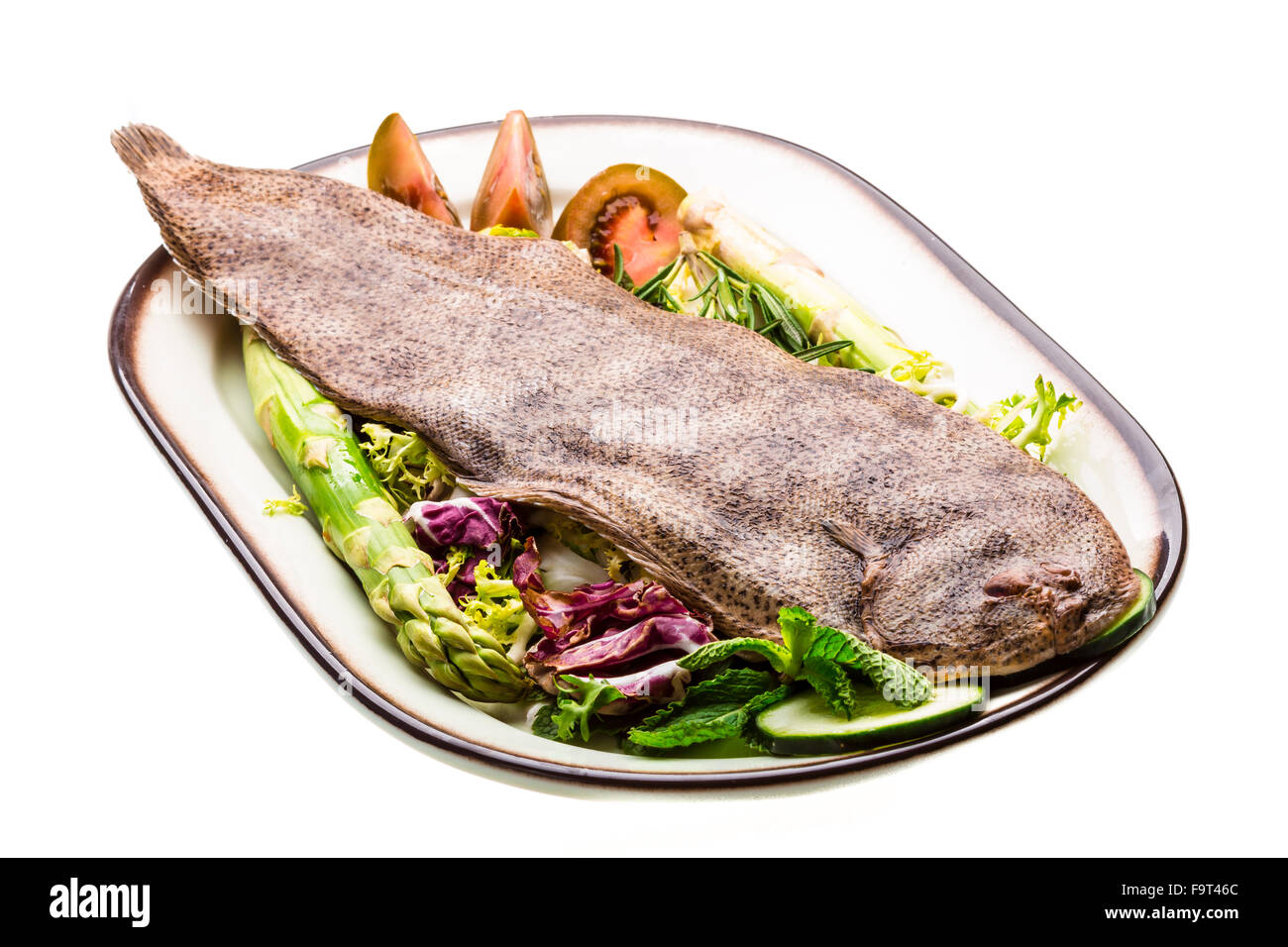 Fish Dover sole Stock Photo Alamy