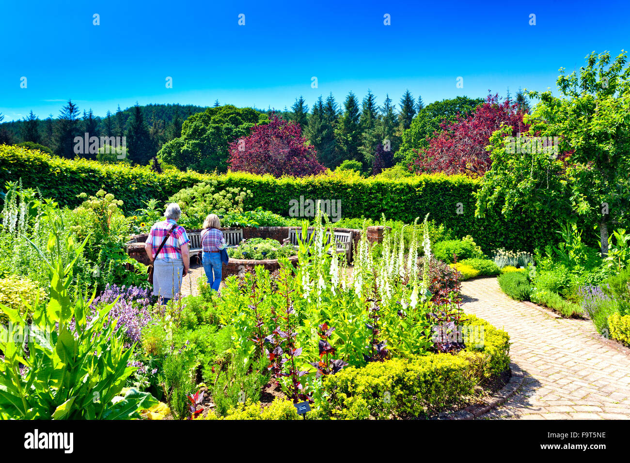 The colourful Potager Garden (a combined flower and vegetable garden) at RHS Rosemoor, North Devon, England, UK Stock Photo