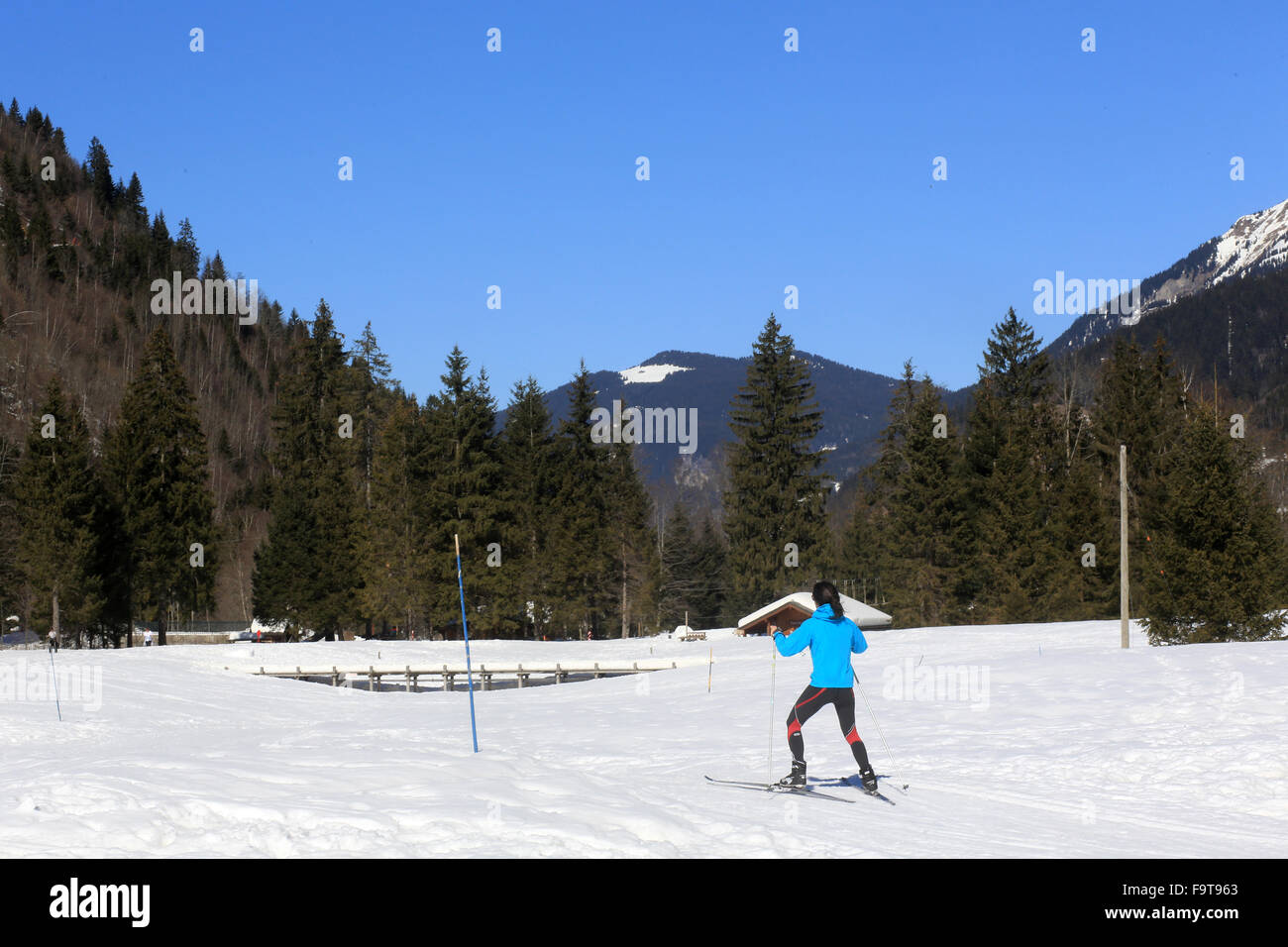 Alpine skiing. Stock Photo