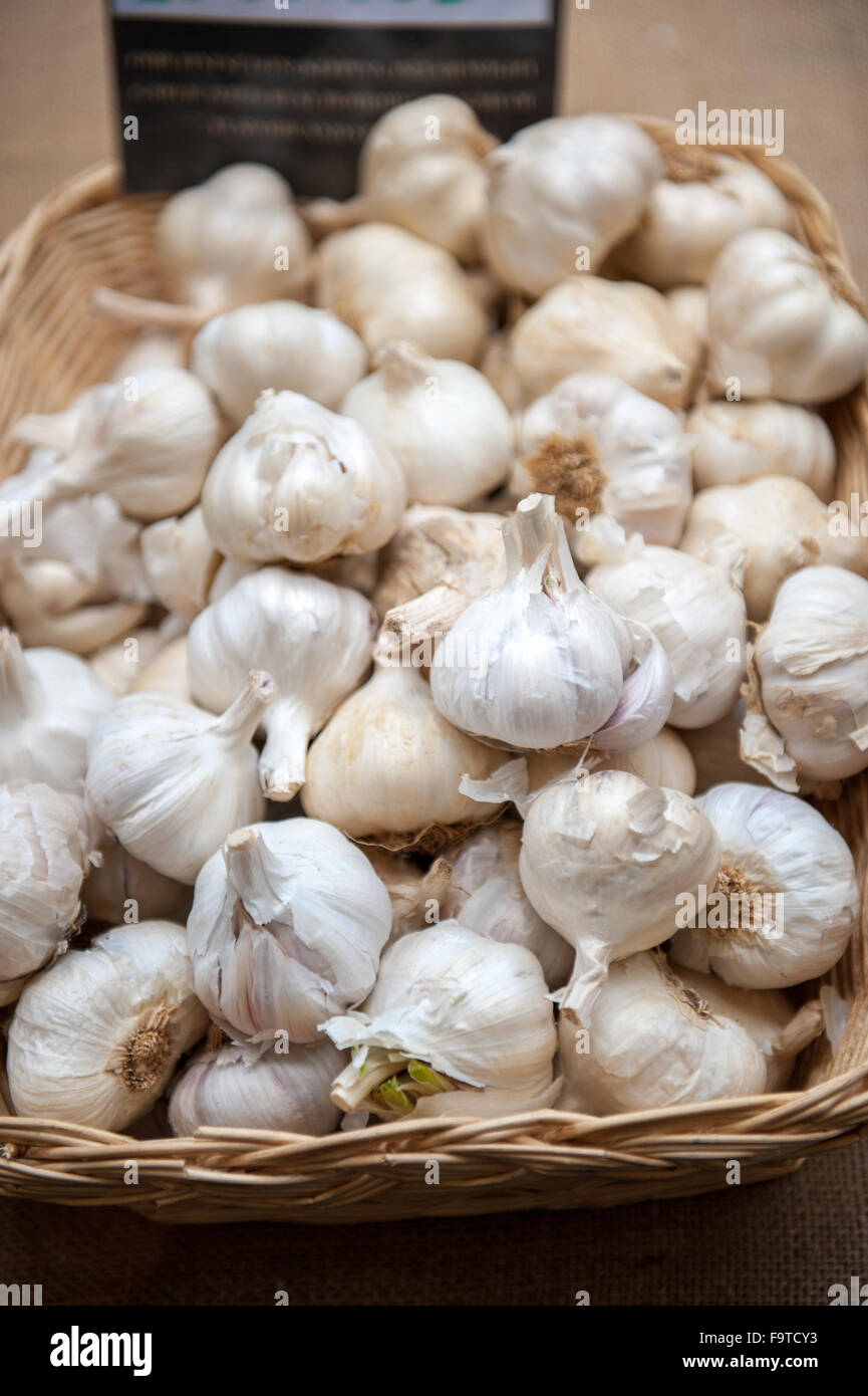 Bunches of garlic, ail, 1 euro for three For sale as Framed Prints