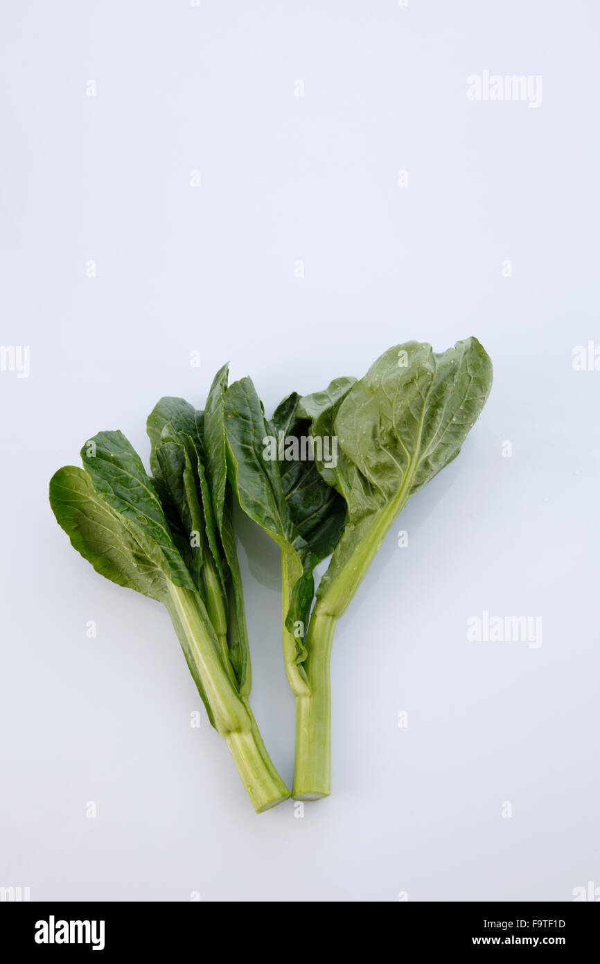 Chinese mustard green on white background Stock Photo Alamy